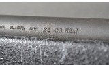 Remington ~ 700 ~ 25-06 Rem - 10 of 12