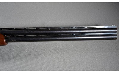 Lanber ~ None ~ 12 Gauge - Image 5 of 10