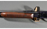 Remington ~ 572 ~ .22 S,L,LR - 7 of 10