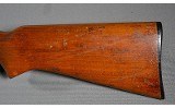 Remington ~ 572 ~ .22 S,L,LR - 9 of 10