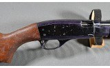 Remington ~ 572 ~ .22 S,L,LR - 3 of 10