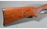 Remington ~ 572 ~ .22 S,L,LR - 2 of 10