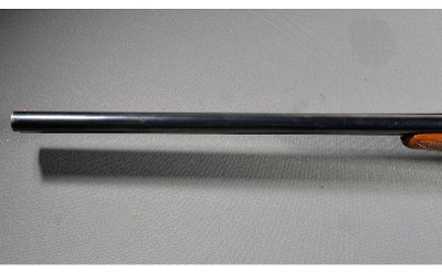 Zoli ~ SXS ~ 12 Gauge - Image 6 of 10