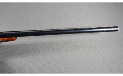 Zoli ~ SXS ~ 12 Gauge - Image 5 of 10