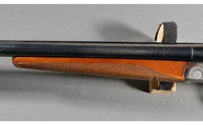 Zoli ~ SXS ~ 12 Gauge - Image 7 of 10