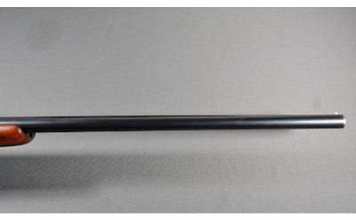 Zabala ~ SXS 12 Gauge - Image 5 of 10