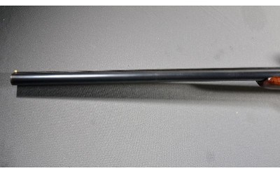 Zabala ~ SXS 12 Gauge - Image 6 of 10