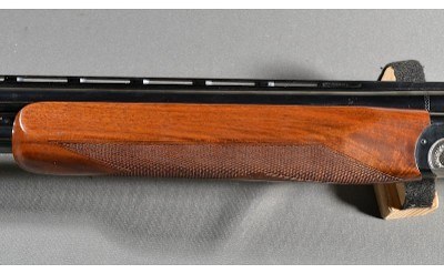 Zoli ~ Kronos ~ 12 Gauge - Image 7 of 11