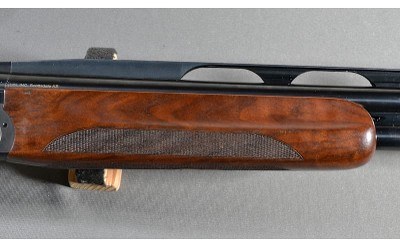 Beretta ~ Prevail ~ 12 Gauge - Image 4 of 10