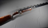 Beretta ~ Prevail ~ 12 Gauge - Image 1 of 10