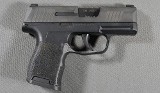 SIG Sauer ~ P365 ~ 9mm Luger - 1 of 3