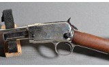 Rossi ~ 62 SA ~ .22 LR - 8 of 10