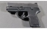 SIG Sauer ~ P250 ~ .40 S&W - 2 of 3
