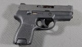 SIG Sauer ~ P250 ~ .40 S&W - 1 of 3