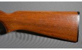 Remington ~ 514 ~ .22 S,L,LR - 9 of 10