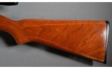 Ruger ~ 10/22 ~ .22 Long Rifle - 9 of 10