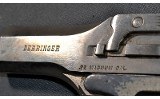 High Standard ~ Derringer ~ .22 Magnum - 3 of 3