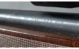 Savage ~ 10 ~ .243 Winchester - 10 of 10