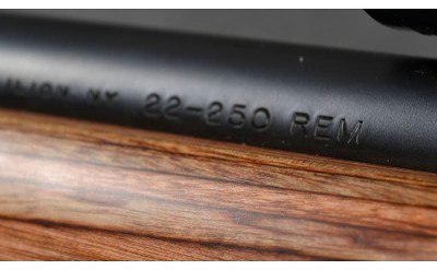Remington ~ 700 ~ .22-250 Remington - Image 10 of 10