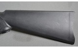 Ruger ~ 10/22 ~ .22 Long Rifle - 9 of 10