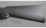 Ruger ~ 10/22 ~ .22 Long Rifle - 9 of 10