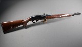 Remington ~ Nylon 66 ~ .22 Long Rifle - 1 of 10