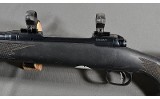 Savage ~ 110 ~ 7mm Remington Magnum - 8 of 10