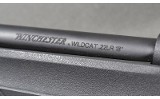 Winchester ~ Wildcat ~ .22 Long Rifle - 10 of 10