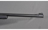Winchester ~ Wildcat ~ .22 Long Rifle - 5 of 10
