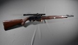 Remington ~ Nylon 66 ~ .22 Long Rifle
