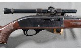 Remington ~ Nylon 66 ~ .22 Long Rifle - 3 of 10