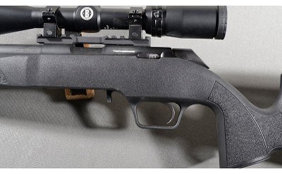 Springfield ~ 2020 Rimfire ~ .22 Long Rifle - Image 8 of 10