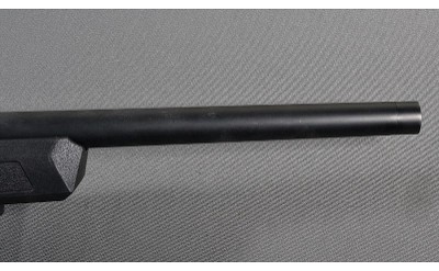 Springfield ~ 2020 Rimfire ~ .22 Long Rifle - Image 5 of 10