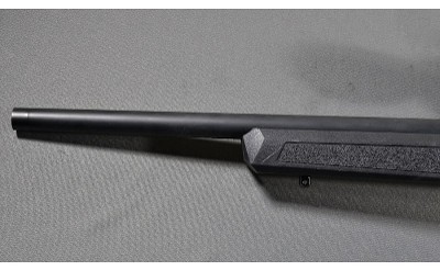 Springfield ~ 2020 Rimfire ~ .22 Long Rifle - Image 6 of 10