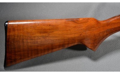 BSA~ Single XII ~ 12 Gauge - Image 2 of 10