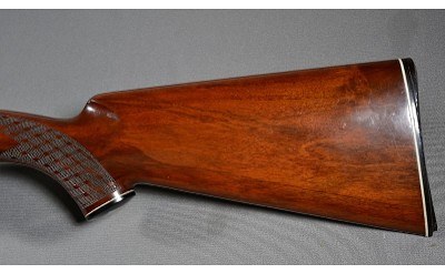 Nikko ~ Shadow ~ 12 Gauge - Image 9 of 10