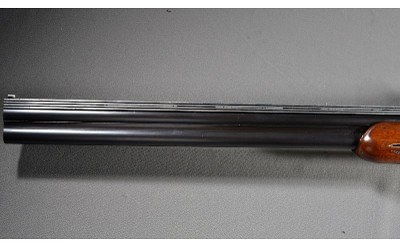 Nikko ~ Shadow ~ 12 Gauge - Image 6 of 10