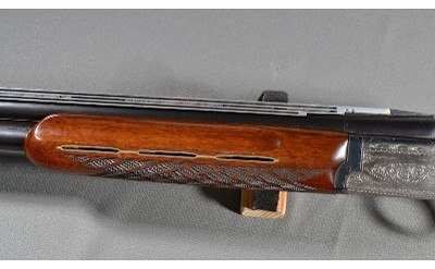 Nikko ~ Shadow ~ 12 Gauge - Image 7 of 10