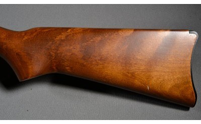 Ruger ~ 10/22 ~ .22 Long Rifle - Image 9 of 10