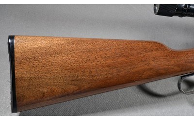 Browning ~ BL-22 ~ .22 S,L,LR - Image 2 of 10