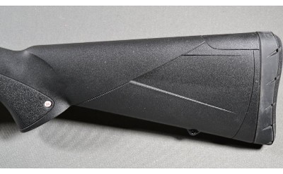 Winchester ~ SXP ~ 12 Gauge - Image 9 of 10
