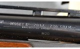 Winchester ~ 12 ~ 20 Gauge - Image 10 of 10