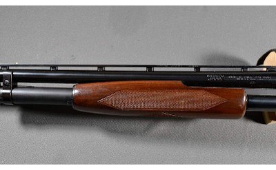 Winchester ~ 12 ~ 20 Gauge - Image 7 of 10