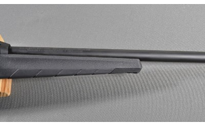 Winchester ~ Wildcat ~ .22 Long Rifle - Image 4 of 10