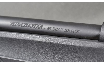 Winchester ~ Wildcat ~ .22 Long Rifle - Image 10 of 10