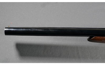 CZ ~ Hammer Classic ~ 12 Gauge - Image 6 of 10