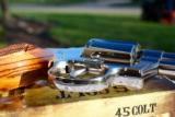 Colt Detective Special Bright Nickel Zebra Grips Red Ramp-GORGEOUS!! - 8 of 12