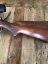 CZ 527 204 Ruger - 5 of 14