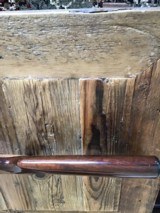 CZ 527 204 Ruger - 12 of 14