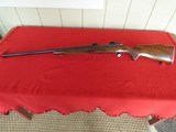 Winchester M 70 Varmit in 243 Winchester - 1 of 14